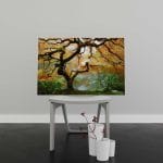 Tablou Canvas Autumn Maple