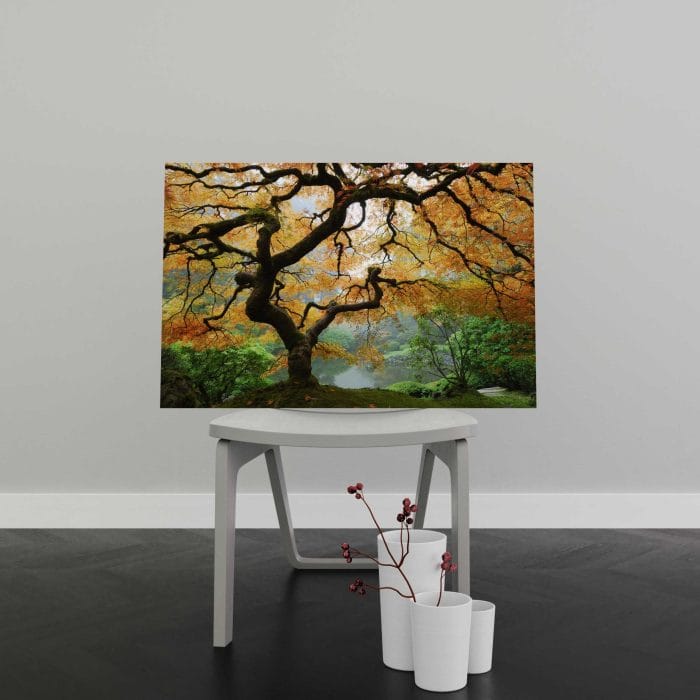 Tablou Canvas Autumn Maple