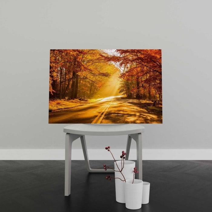 Tablou Canvas Autumn Road to Forest