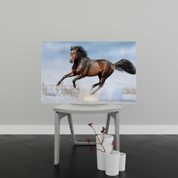 Tablou Canvas Bay Horse in Snow