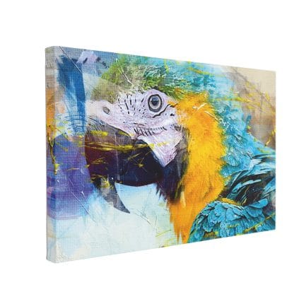 Tablou Canvas Blue Parrot