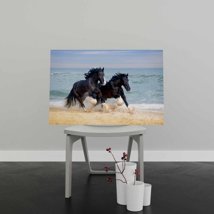 Tablou Canvas Cai în Galop