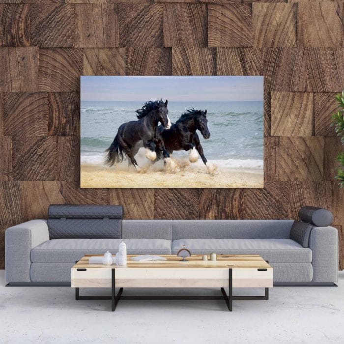 Tablou Canvas Cai în Galop