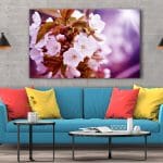 Tablou Canvas Cherry Blossoms