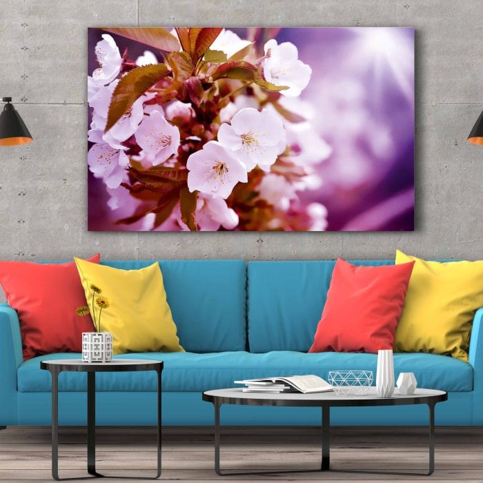 Tablou Canvas Cherry Blossoms
