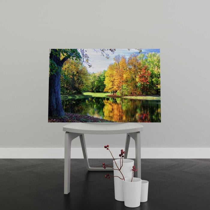 Tablou Canvas Colorful Trees Reflections