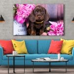 Tablou Canvas Dachshund Puppy