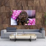 Tablou Canvas Dachshund Puppy