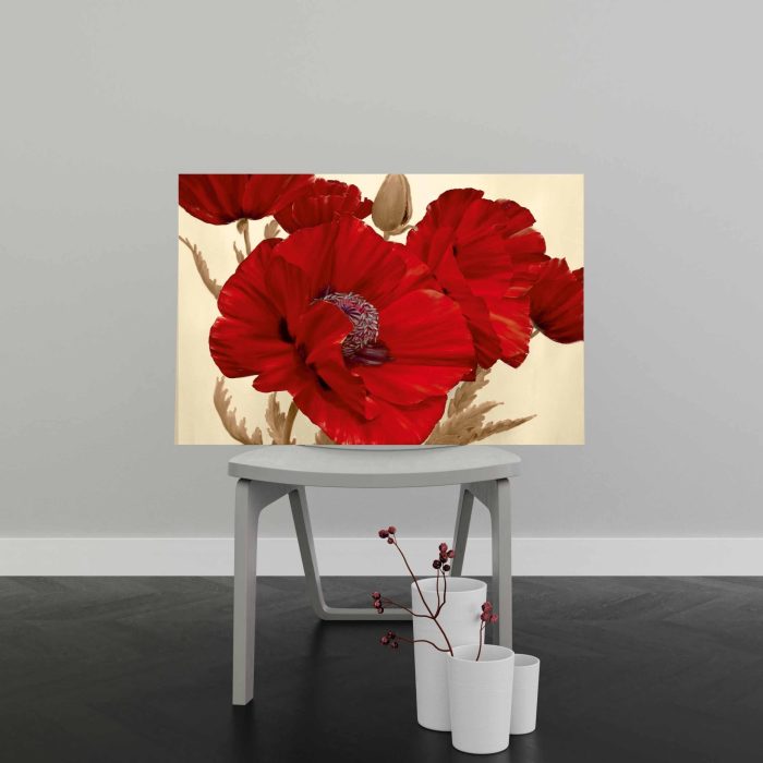 Tablou Canvas Dansul Macilor