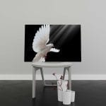Tablou Canvas Dove in Flight