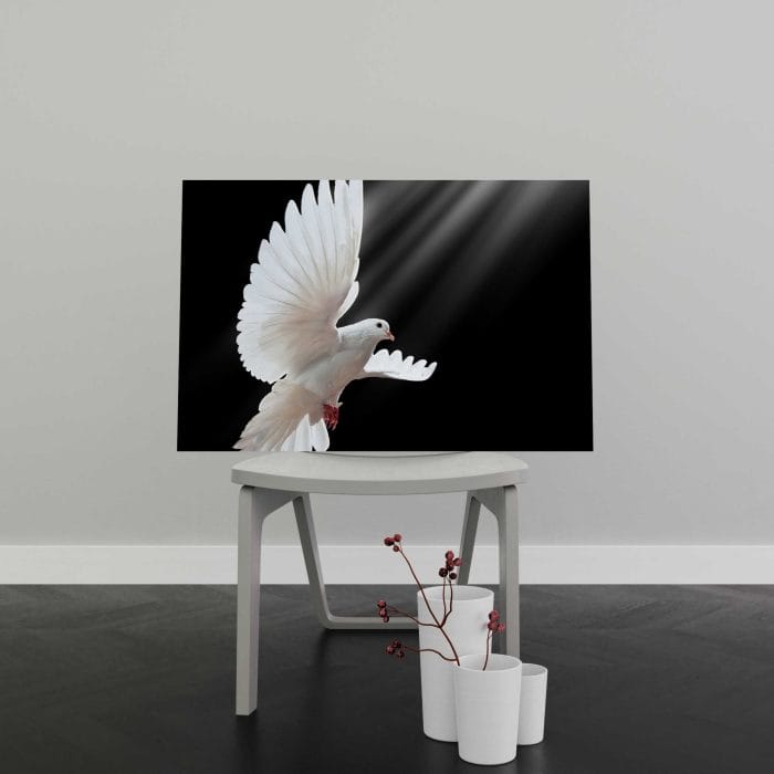 Tablou Canvas Dove in Flight