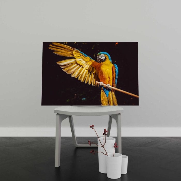 Tablou Canvas Exotic Parrot