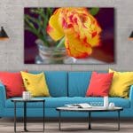 Tablou Canvas Floare de Ranunculus