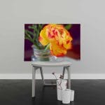 Tablou Canvas Floare de Ranunculus