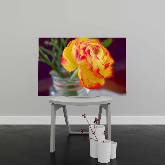 Tablou Canvas Floare de Ranunculus
