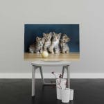 Tablou Canvas Four Cute Cats