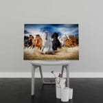 Tablou Canvas Full Speed Gallop