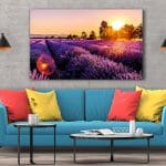 Tablou Canvas Lavanda pe Câmp