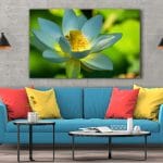 Tablou Canvas Lotus Flower