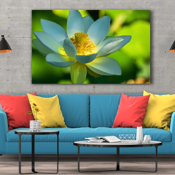 Tablou Canvas Lotus Flower