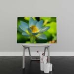 Tablou Canvas Lotus Flower