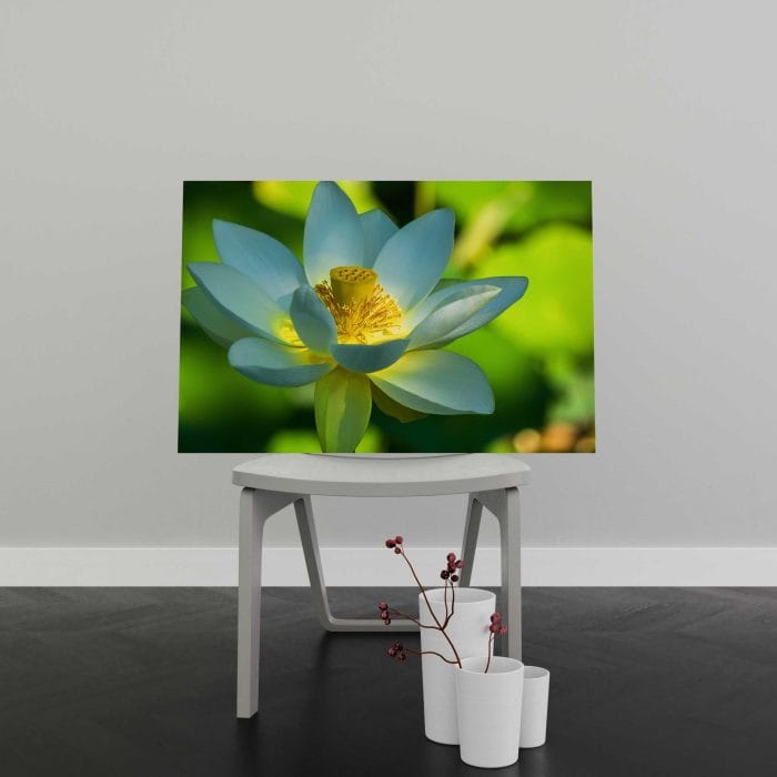 Tablou Canvas Lotus Flower