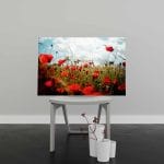 Tablou Canvas Maci în Lanul de Grâu
