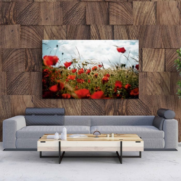 Tablou Canvas Maci în Lanul de Grâu