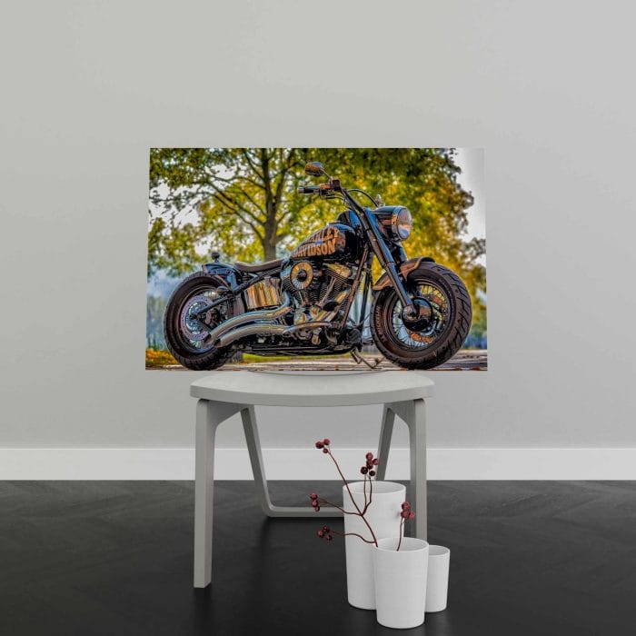Tablou Canvas Motocicleta Harley Davidson