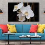 Tablou Canvas Orhidee Albă