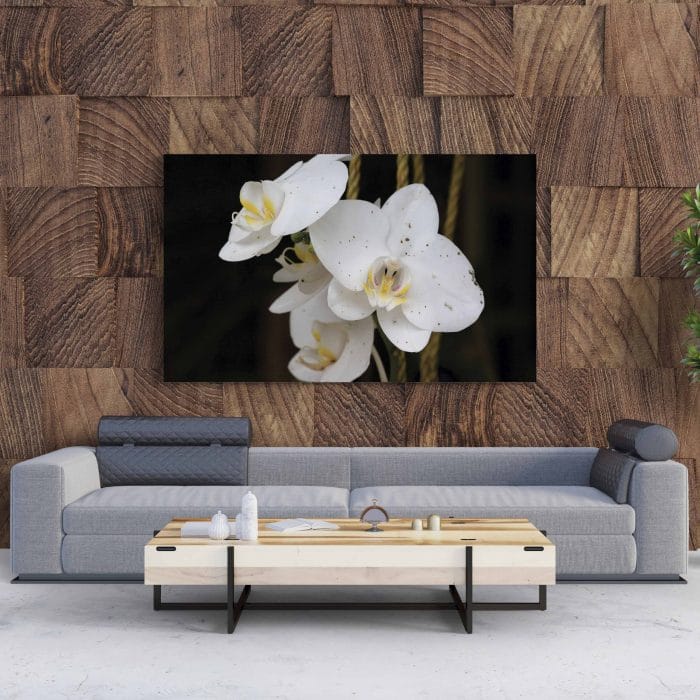 Tablou Canvas Orhidee Albă