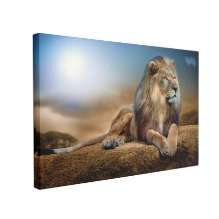 Tablou Canvas Regele Leu