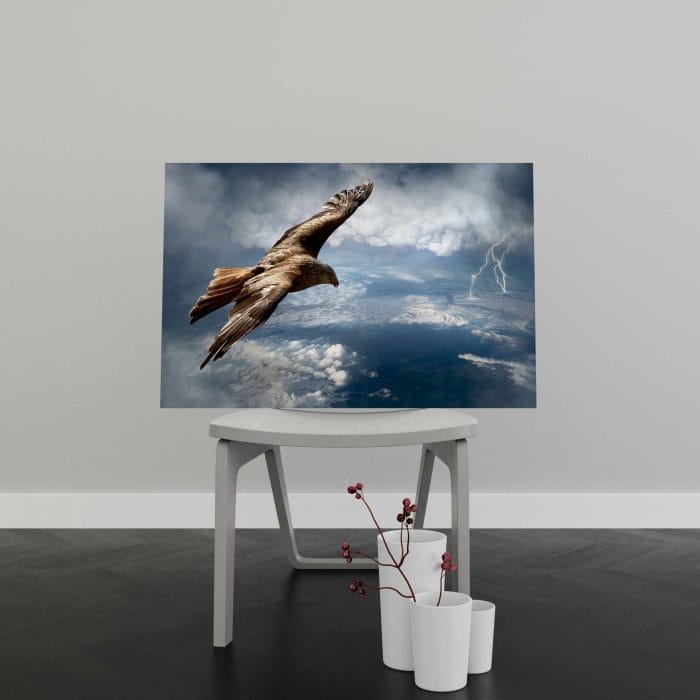 Tablou Canvas Vultur Deasupra Furtunii