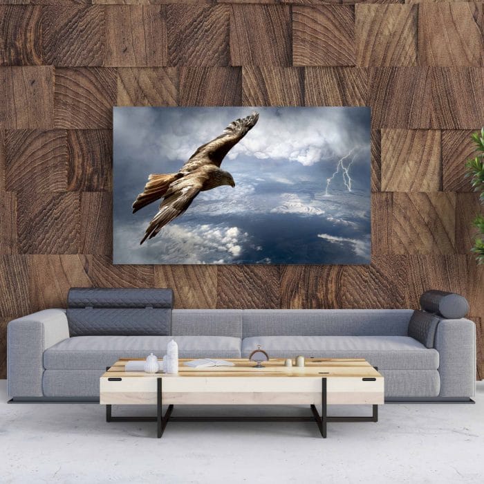Tablou Canvas Vultur Deasupra Furtunii
