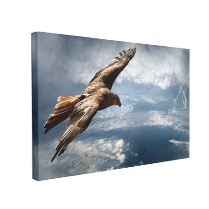 Tablou Canvas Vultur Deasupra Furtunii