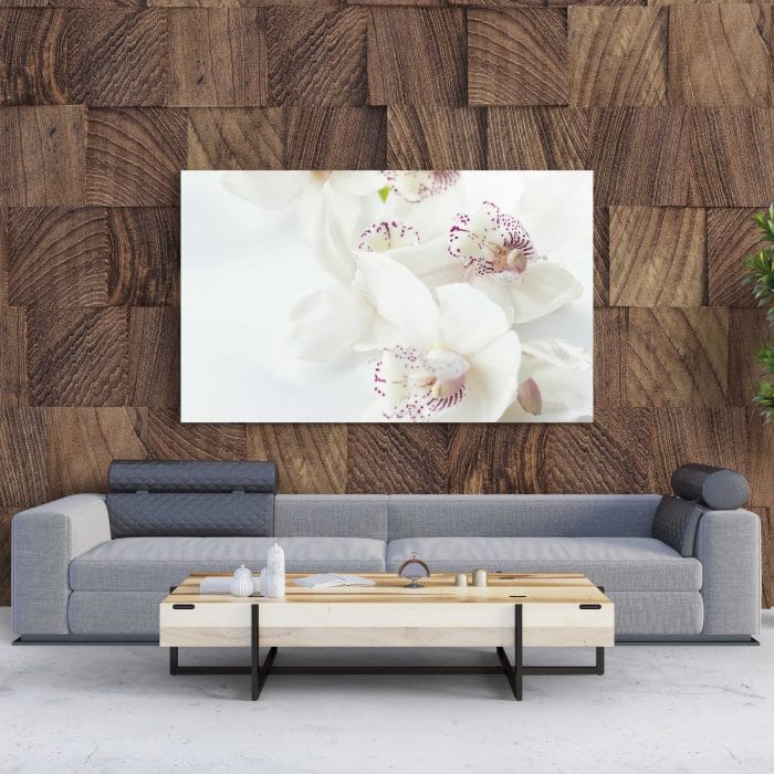 Tablou Canvas White Orchids With Purple
