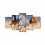 Tablou MultiCanvas Three Horse in Desert